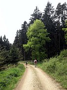 P5080050.JPG