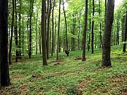 P5080056.JPG