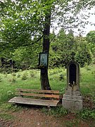 P5080058.JPG