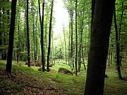 P5080067.JPG