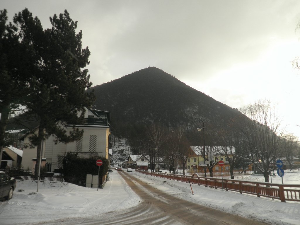 P1030001.JPG