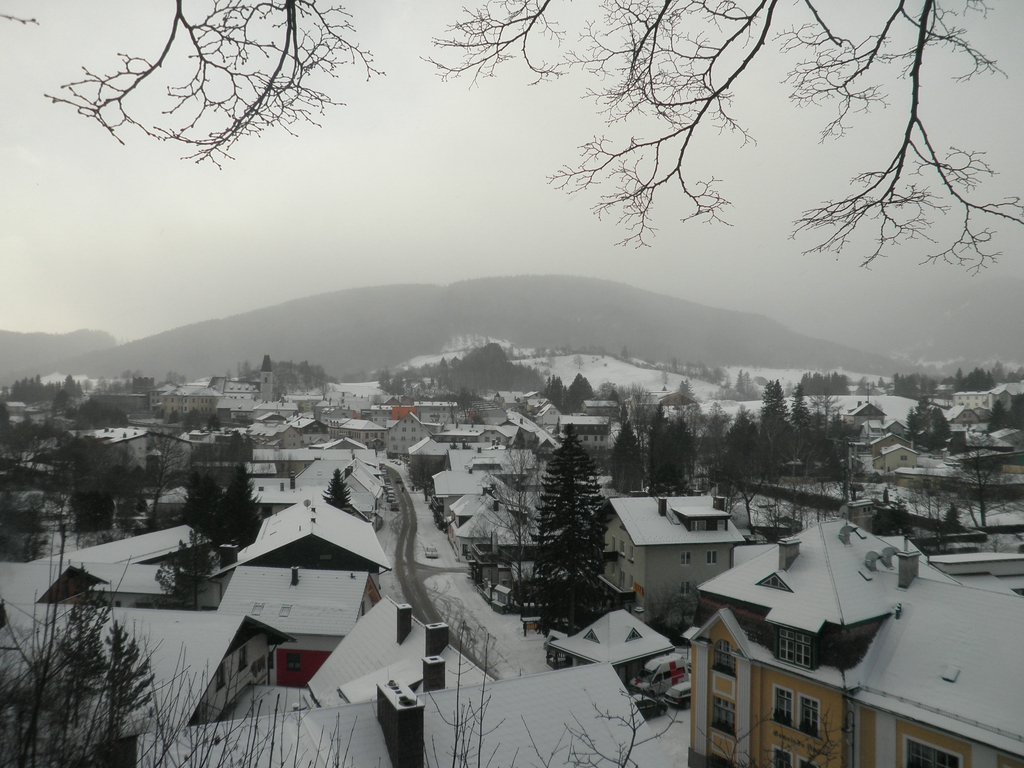 P1030005.JPG