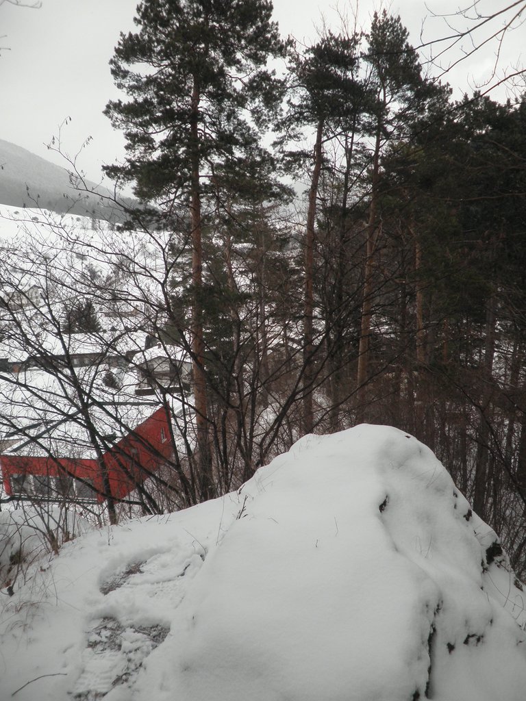 P1030009.JPG