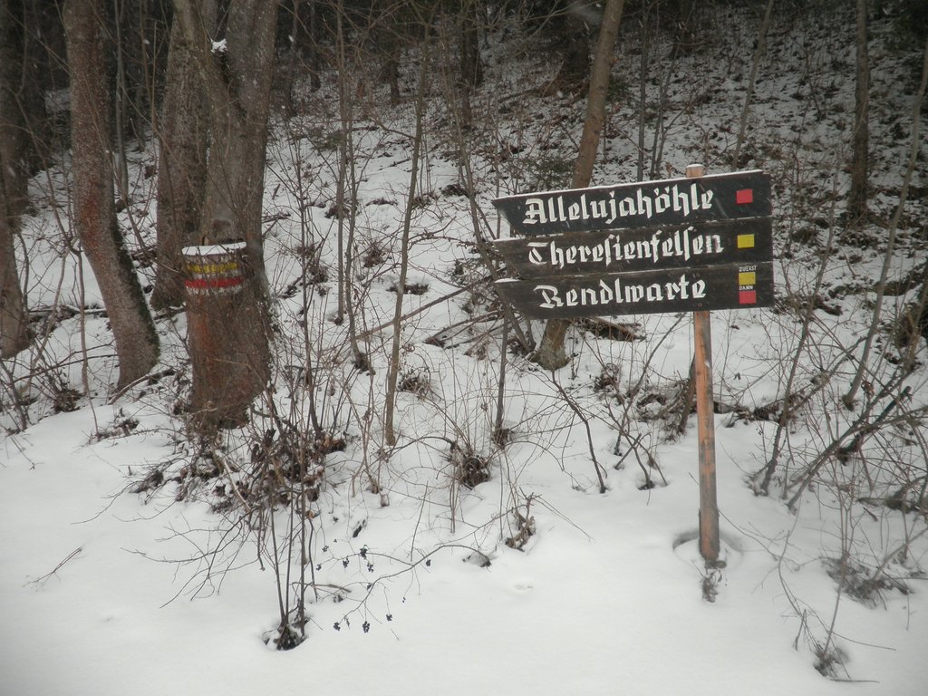 P1030013.JPG