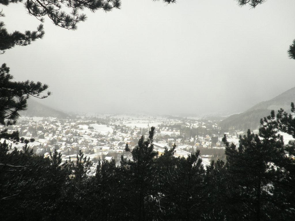P1030016.JPG
