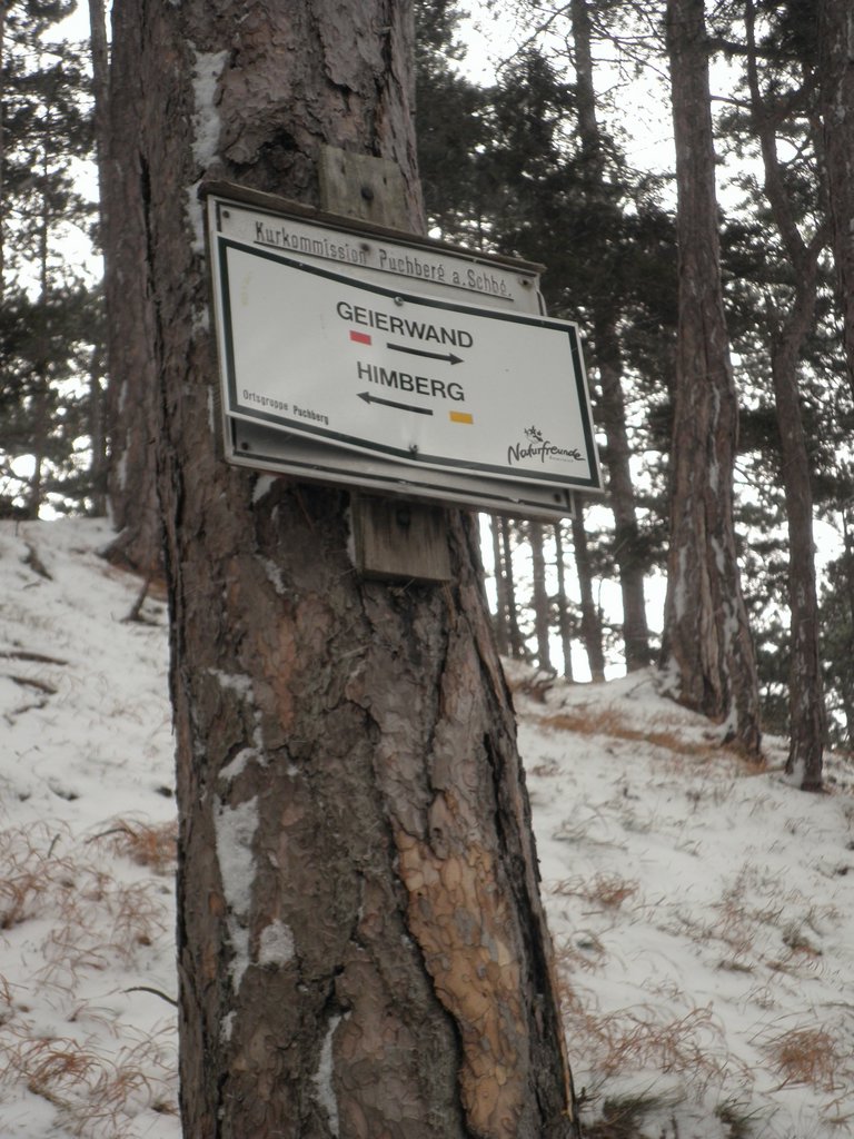 P1030017.JPG