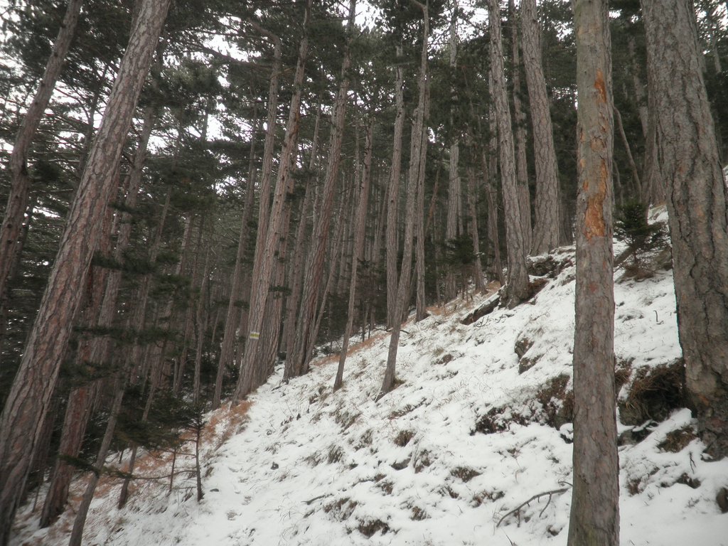 P1030018.JPG