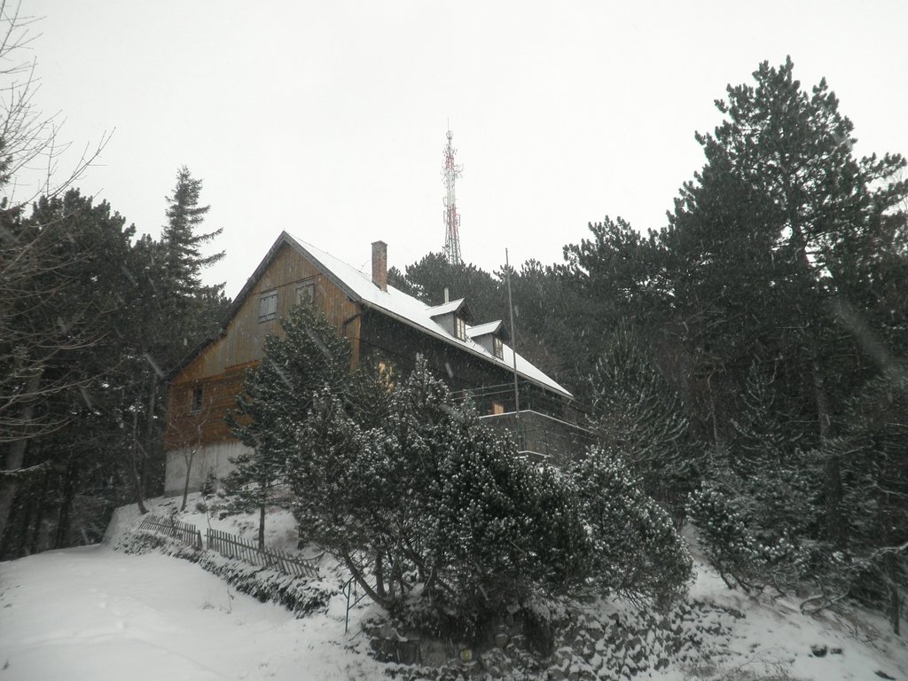 P1030022.JPG