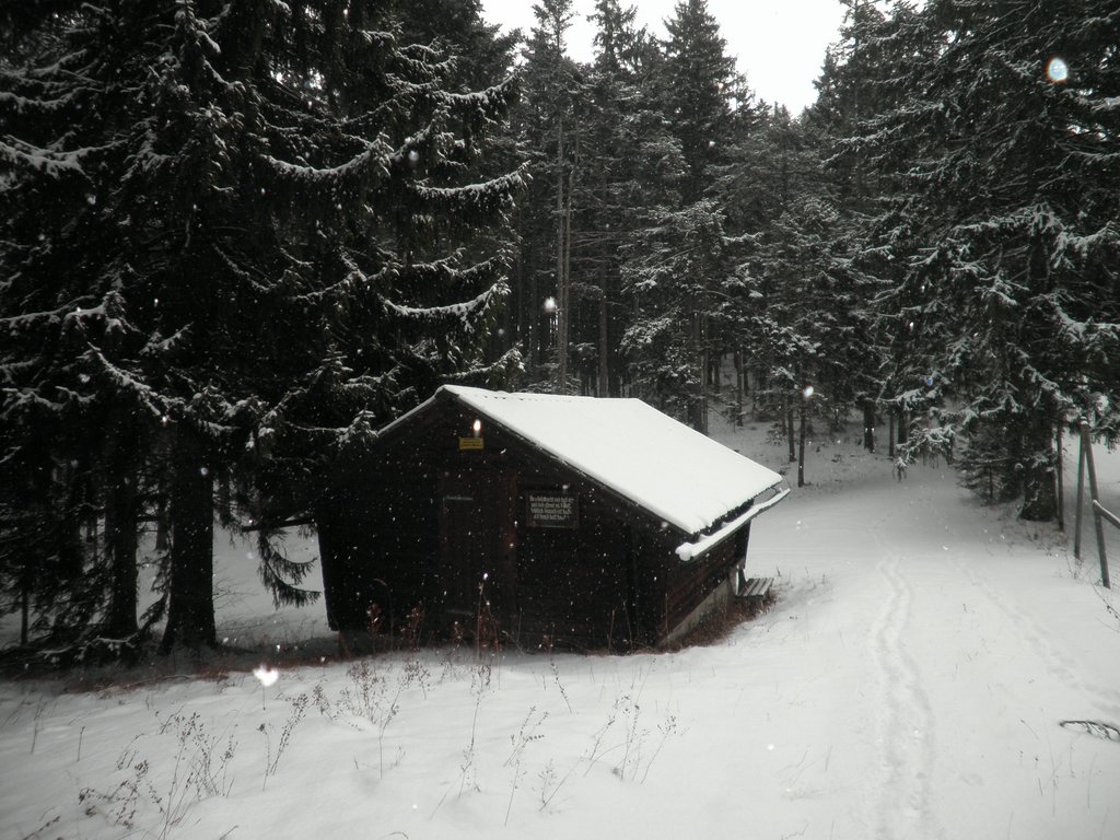 P1030030.JPG