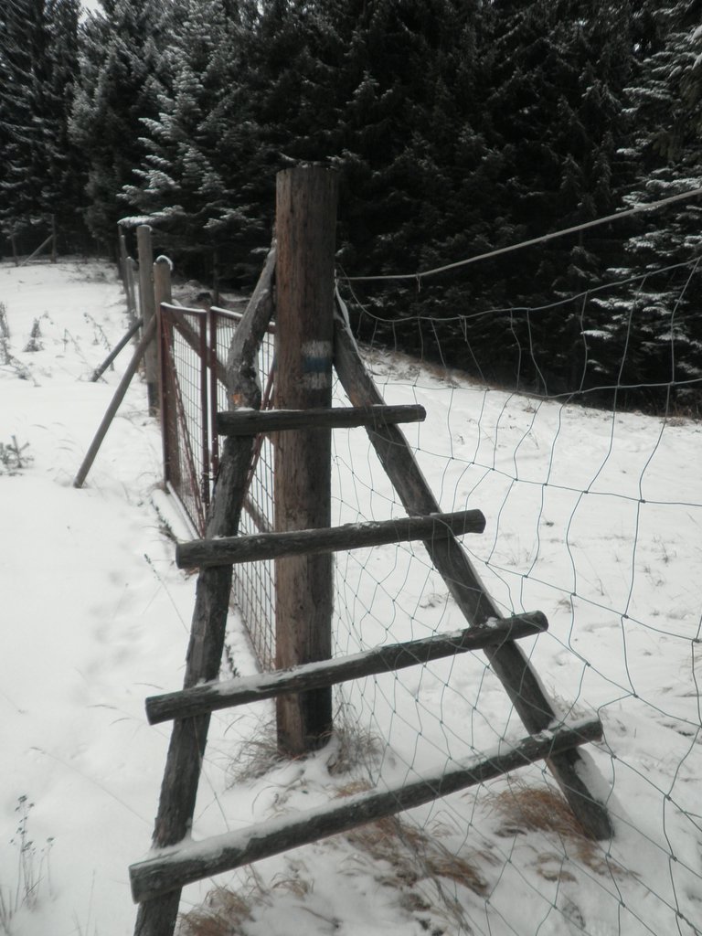 P1030036.JPG