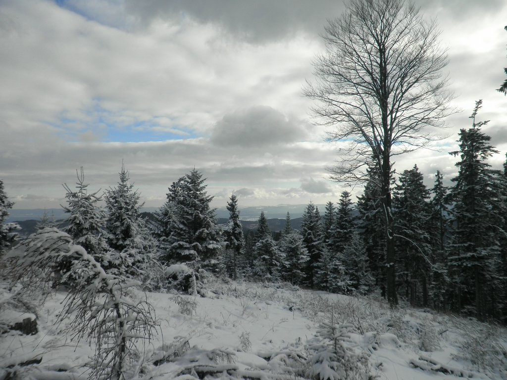 P1030043.JPG