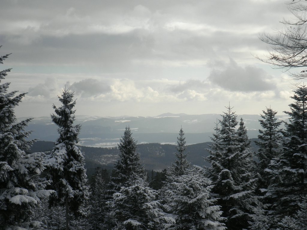P1030044.JPG