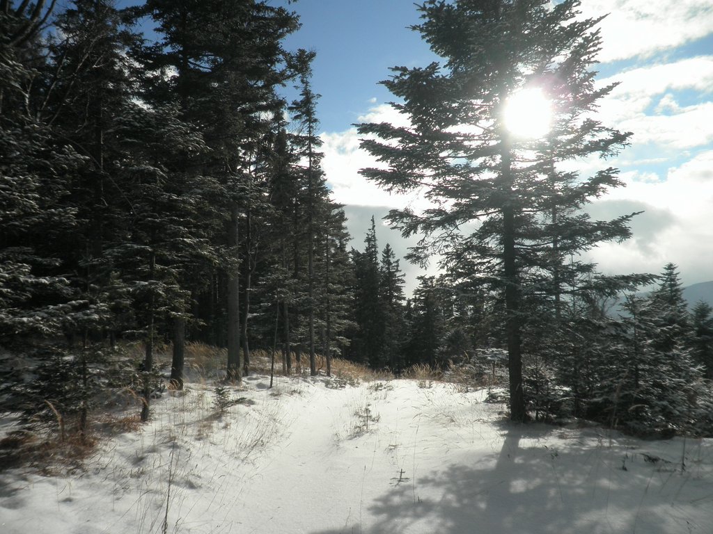 P1030046.JPG