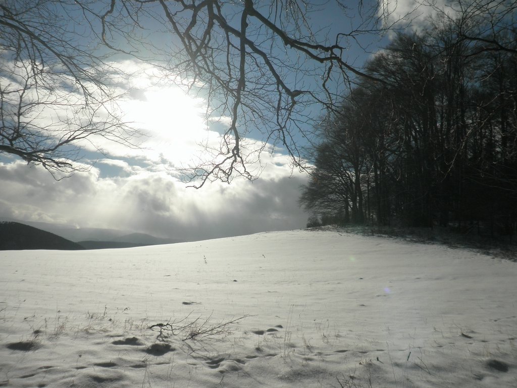 P1030053.JPG