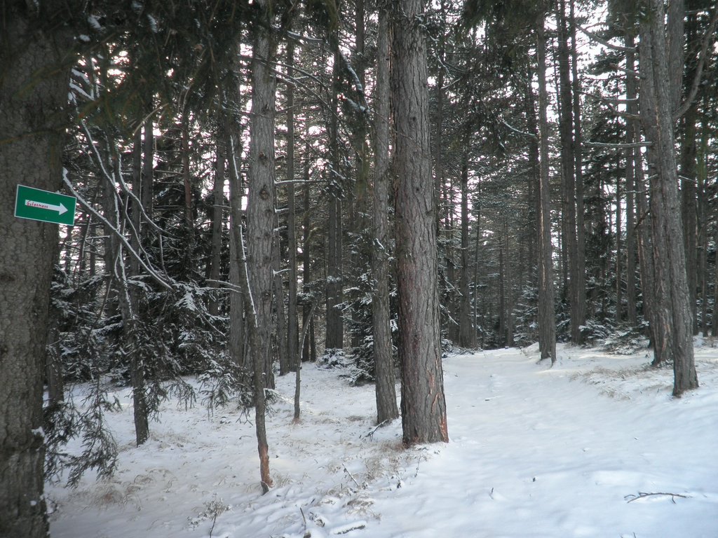P1030064.JPG