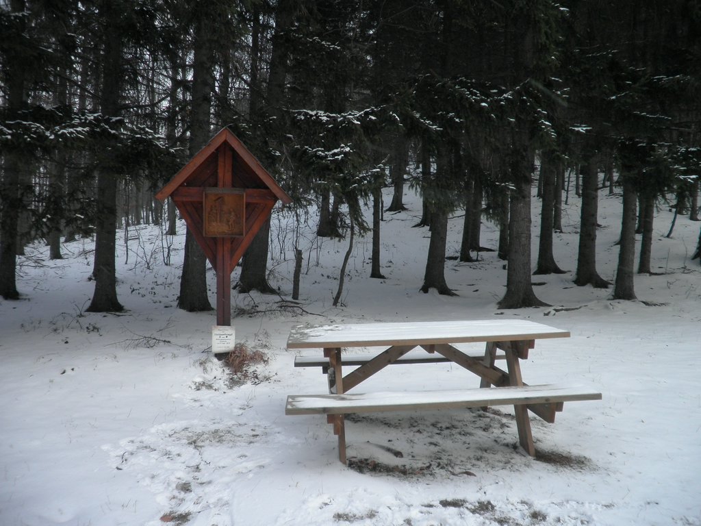 P1030079.JPG
