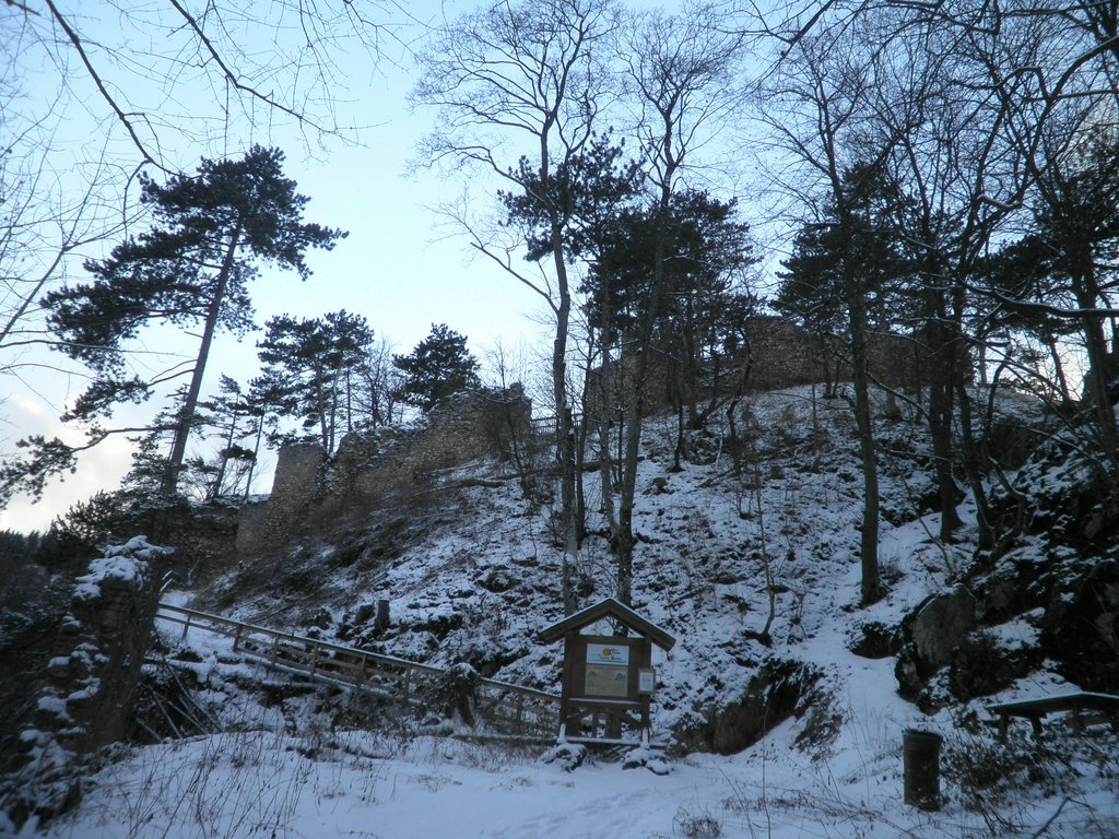 P1030081.JPG