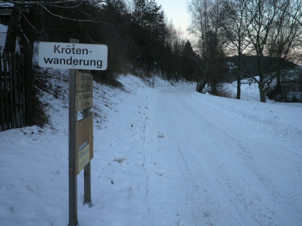P1030088.JPG