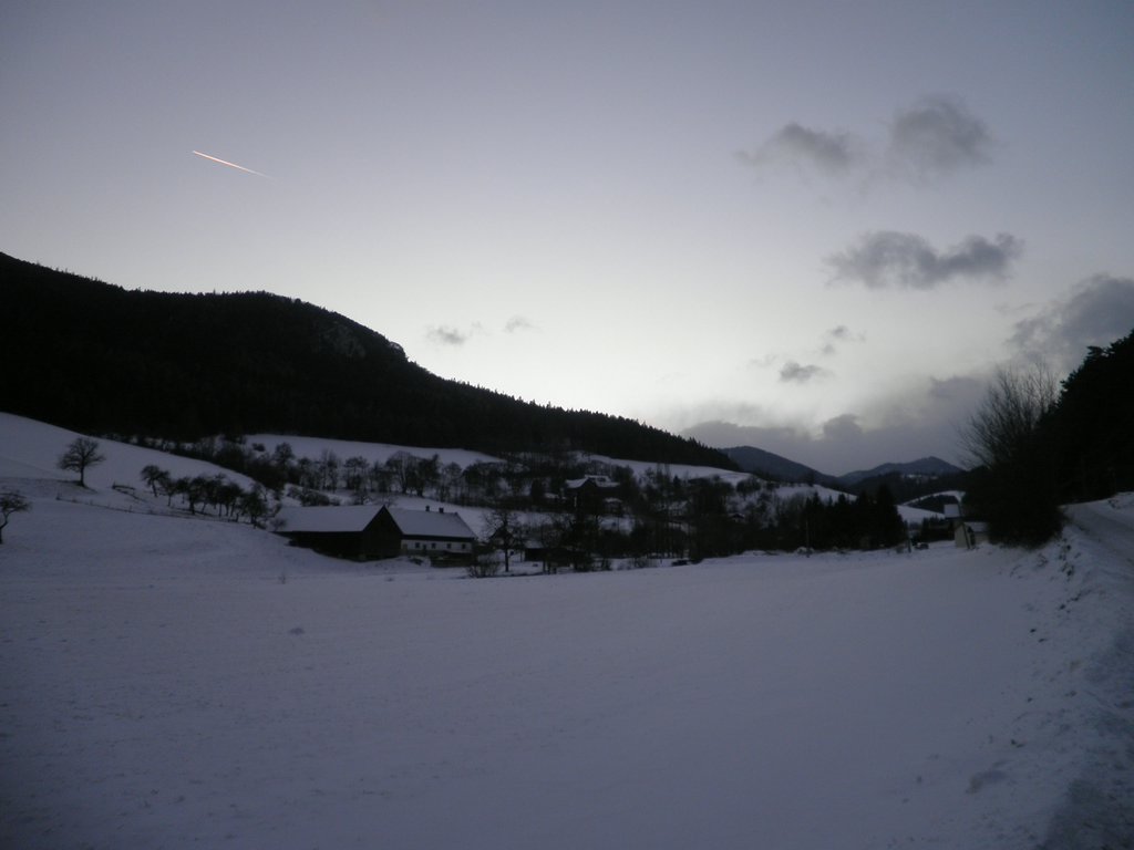 P1030093.JPG