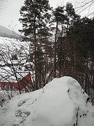 P1030009.JPG
