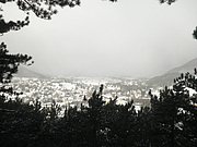 P1030016.JPG