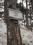 P1030017.JPG
