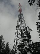 P1030026.JPG