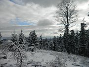 P1030043.JPG