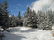 P1030045.JPG
