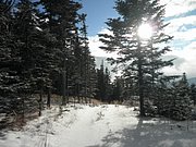 P1030046.JPG