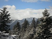 P1030047.JPG