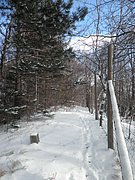 P1030050.JPG