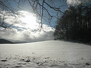 P1030053.JPG