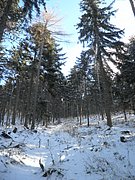 P1030056.JPG