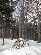P1030061.JPG