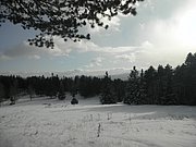 P1030063.JPG