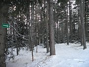 P1030064.JPG
