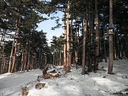 P1030066.JPG