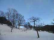 P1030070.JPG