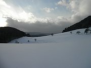 P1030073.JPG
