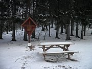 P1030079.JPG