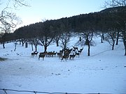 P1030087.JPG