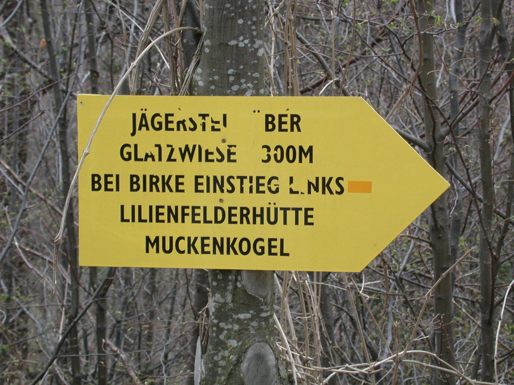 DSCN5067.JPG
