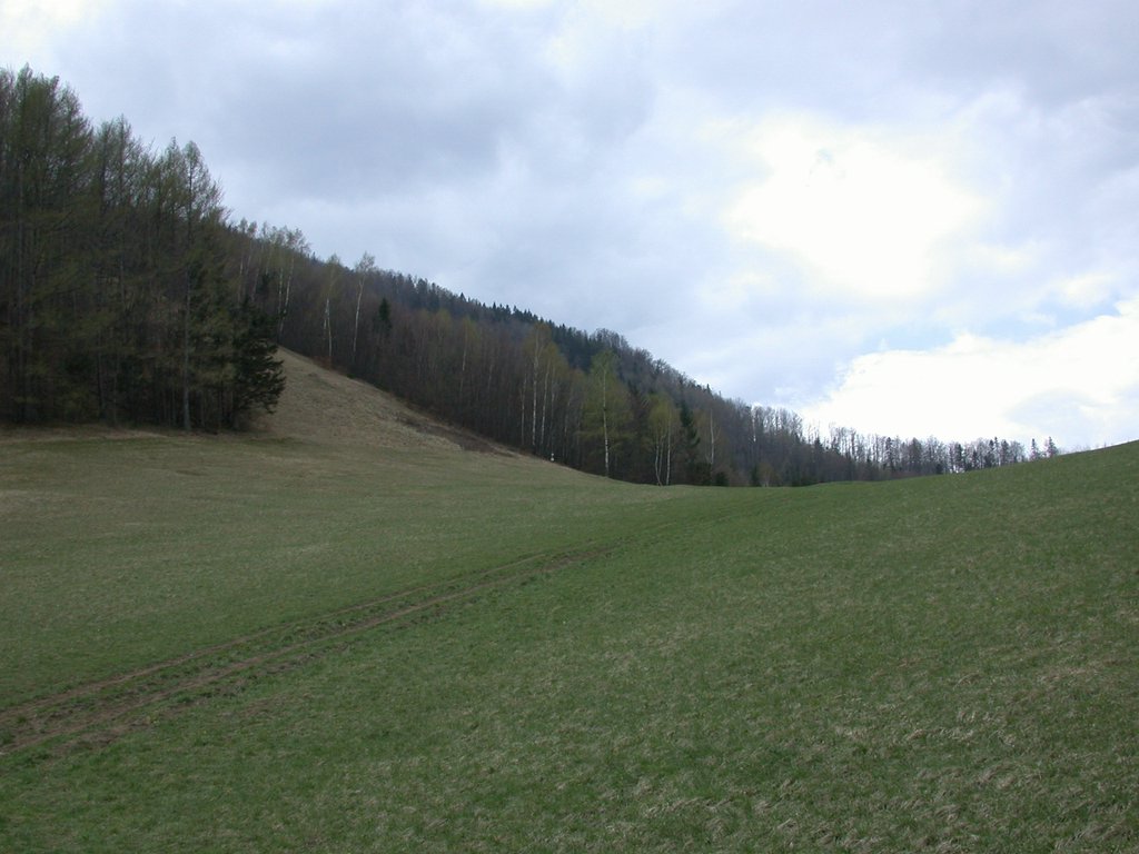 DSCN5069.JPG