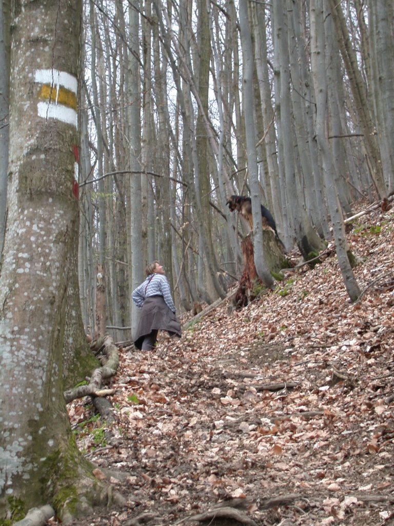 DSCN5074.JPG