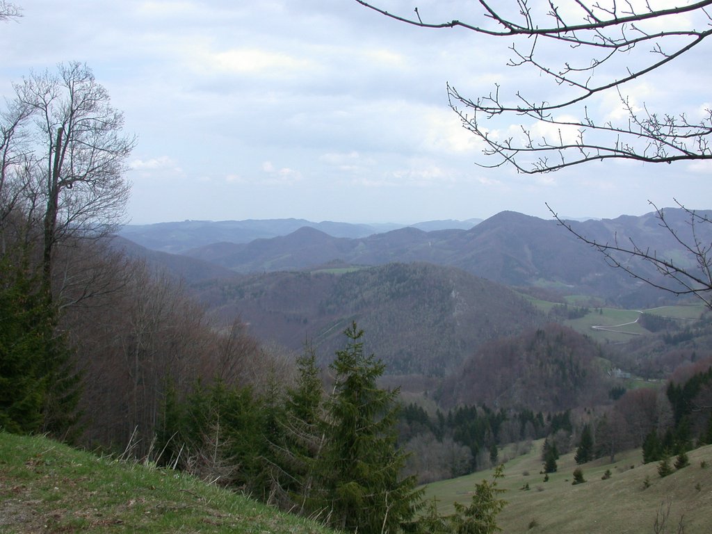 DSCN5079.JPG