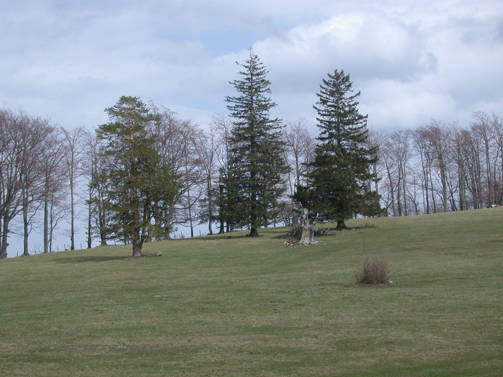 DSCN5082.JPG