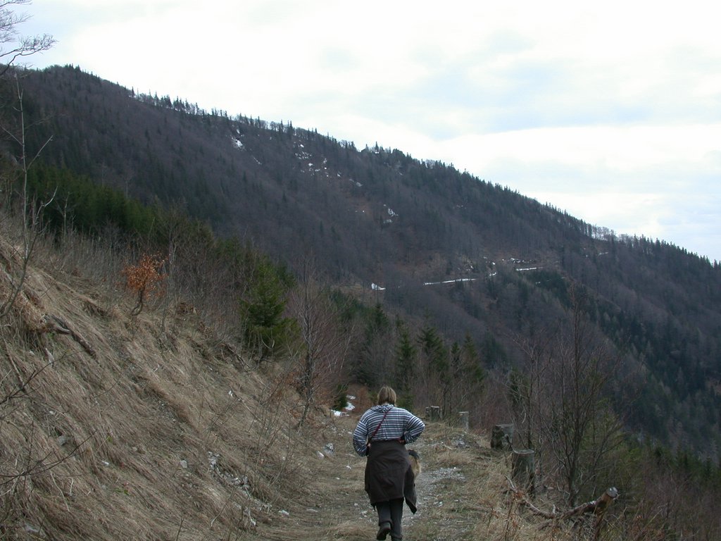 DSCN5087.JPG