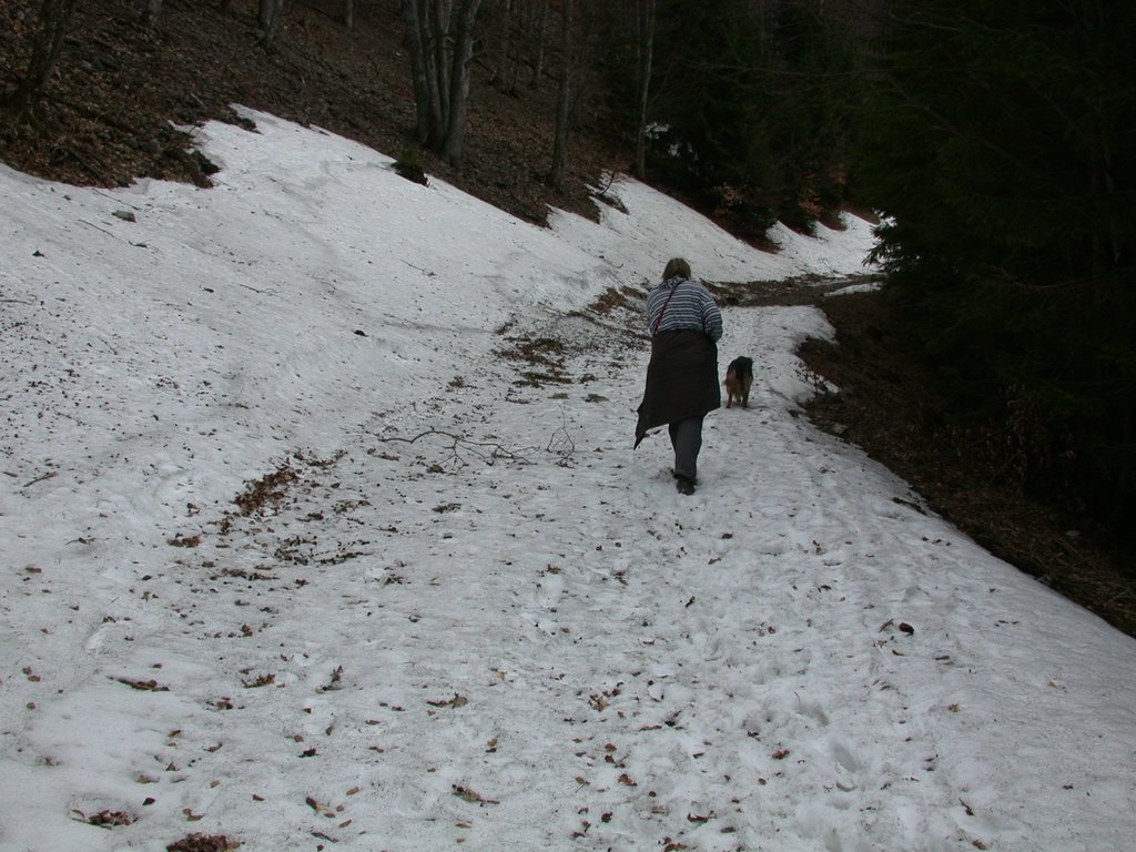 DSCN5089.JPG