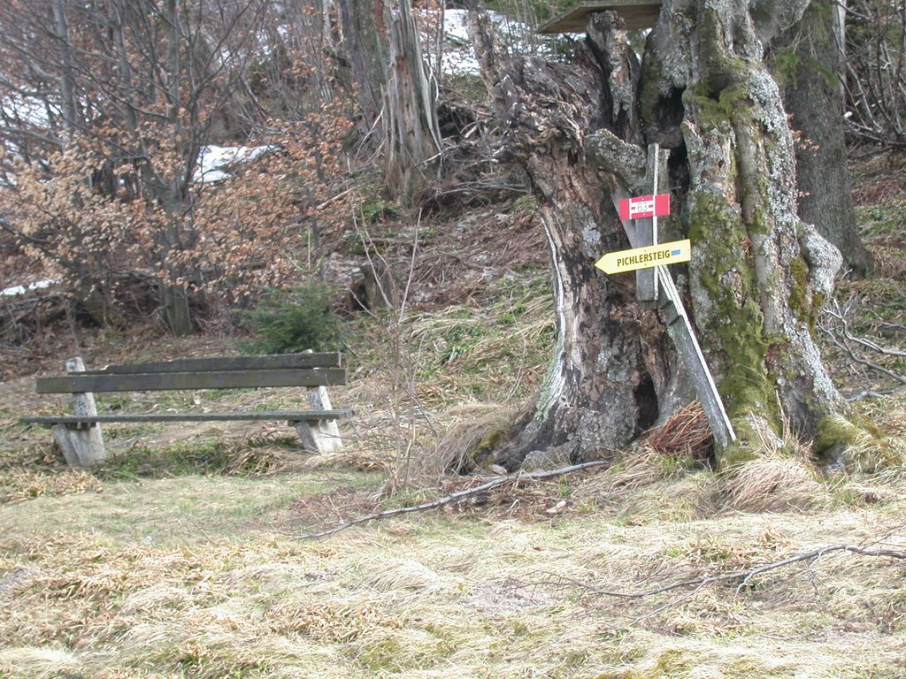 DSCN5103.JPG